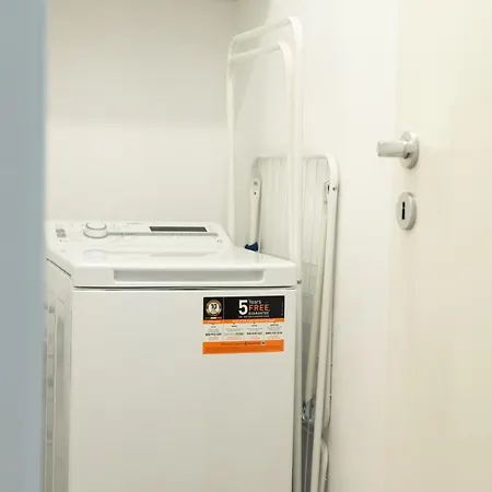 Alternativ 2 Timisoara