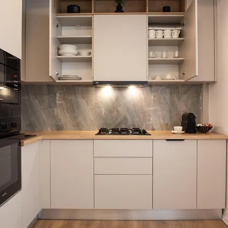 Alternativ 2 * Timisoara