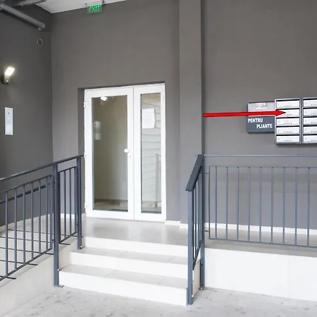 Alternativ 2 * Timisoara