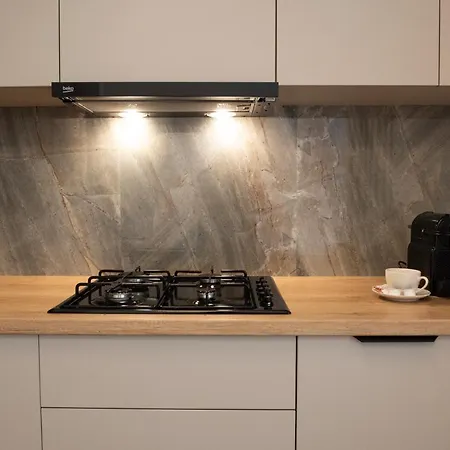 Alternativ 2 * Timisoara