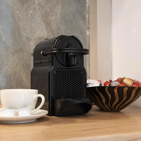 Alternativ 2 Timisoara