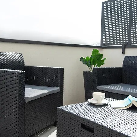 Alternativ 2 Timisoara