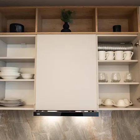 Alternativ 2 * Timisoara