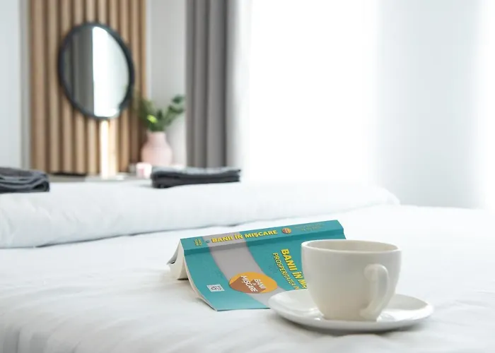 Appartement Alternativ 2 Timişoara