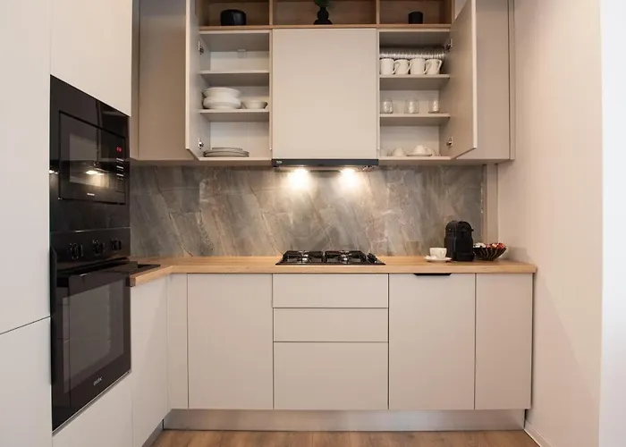 Alternativ 2 * Timişoara