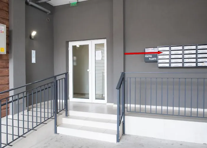 Alternativ 2 * Timişoara