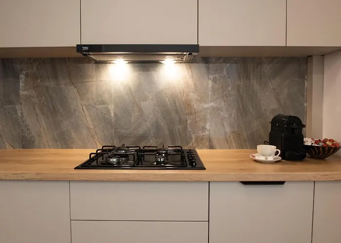 Alternativ 2 * Timişoara