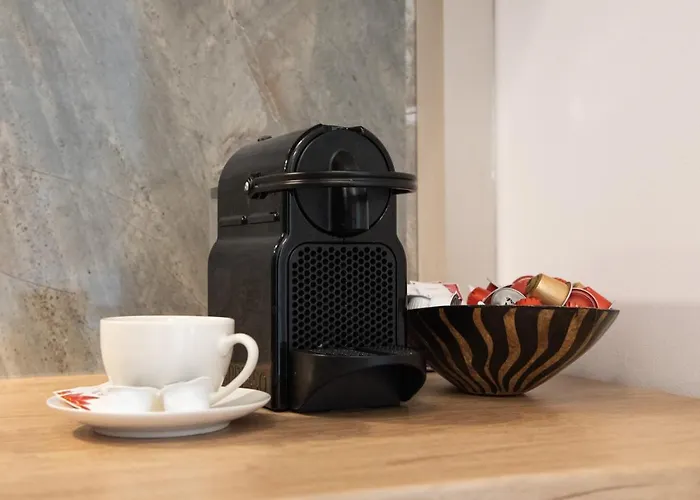 Alternativ 2 Timişoara