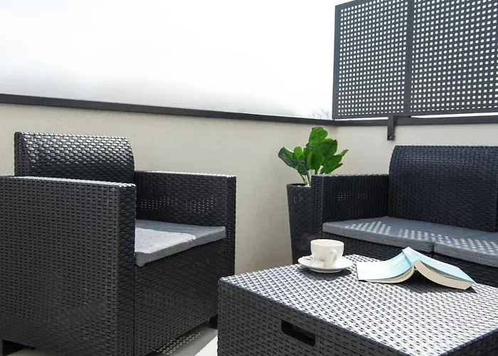 Alternativ 2 Timişoara