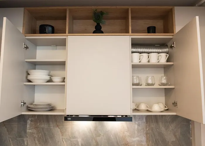 Alternativ 2 * Timişoara